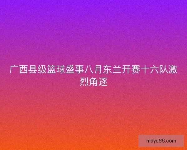 广西县级篮球盛事八月东兰开赛十六队激烈角逐